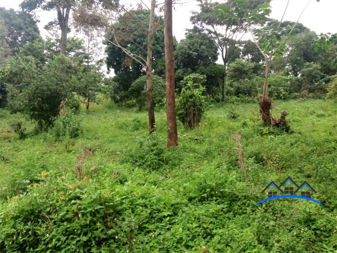 Residential Land for sale in Garuga Wakiso