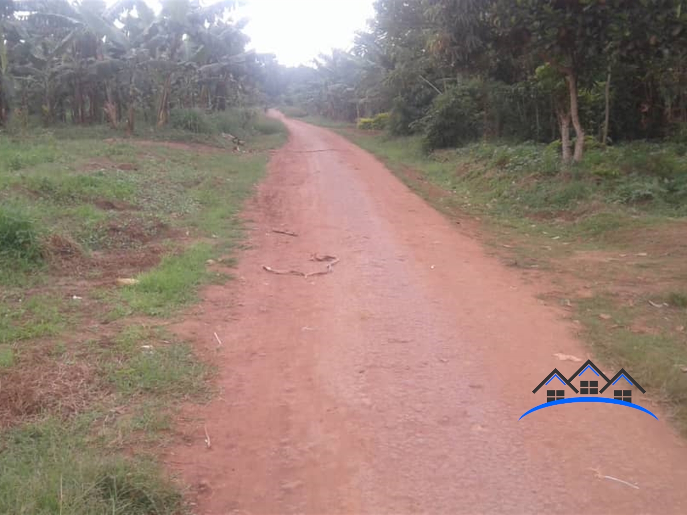 Agricultural Land for sale in Busiika Luweero