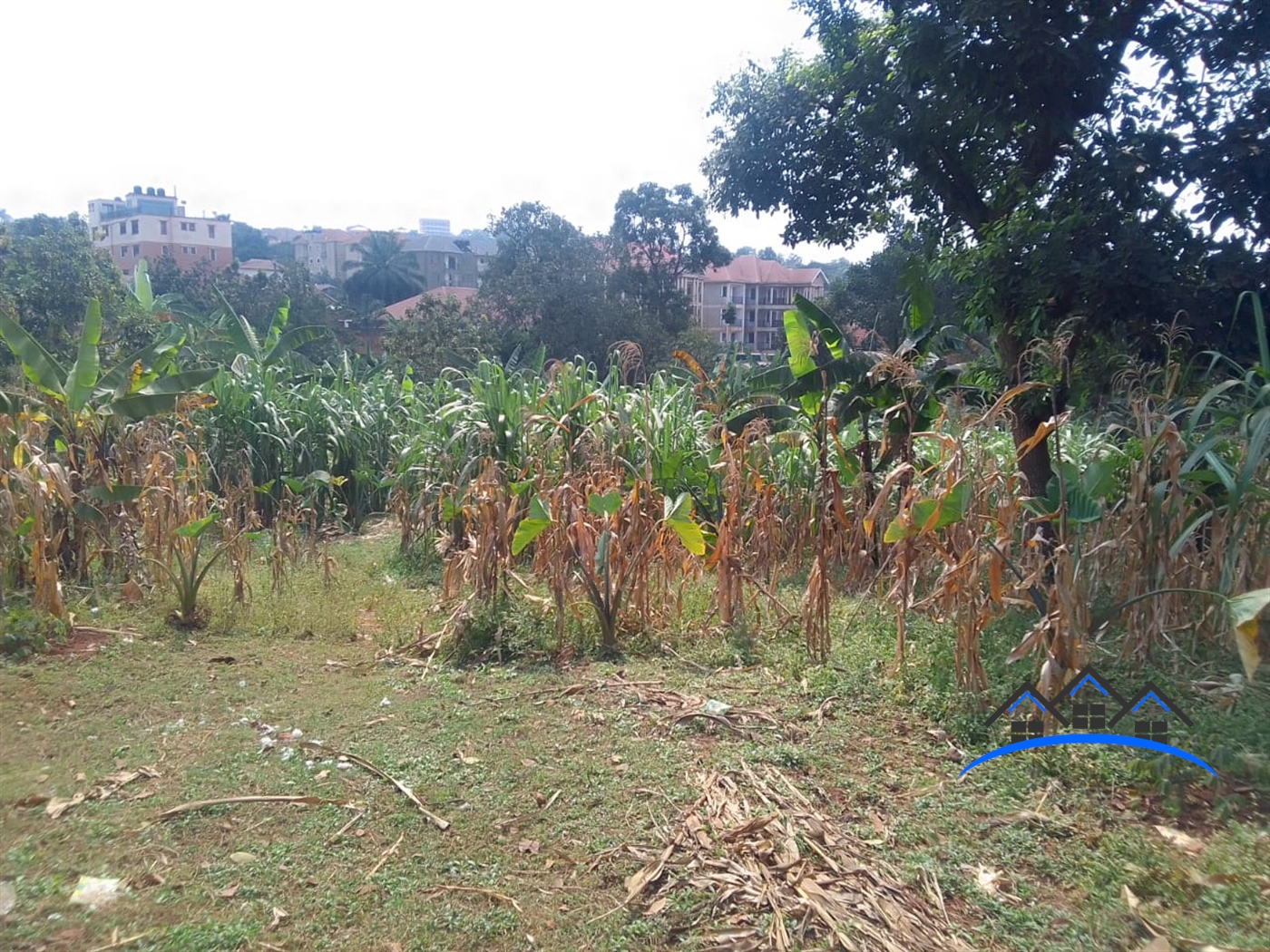 Residential Land for sale in Lungujja Kampala