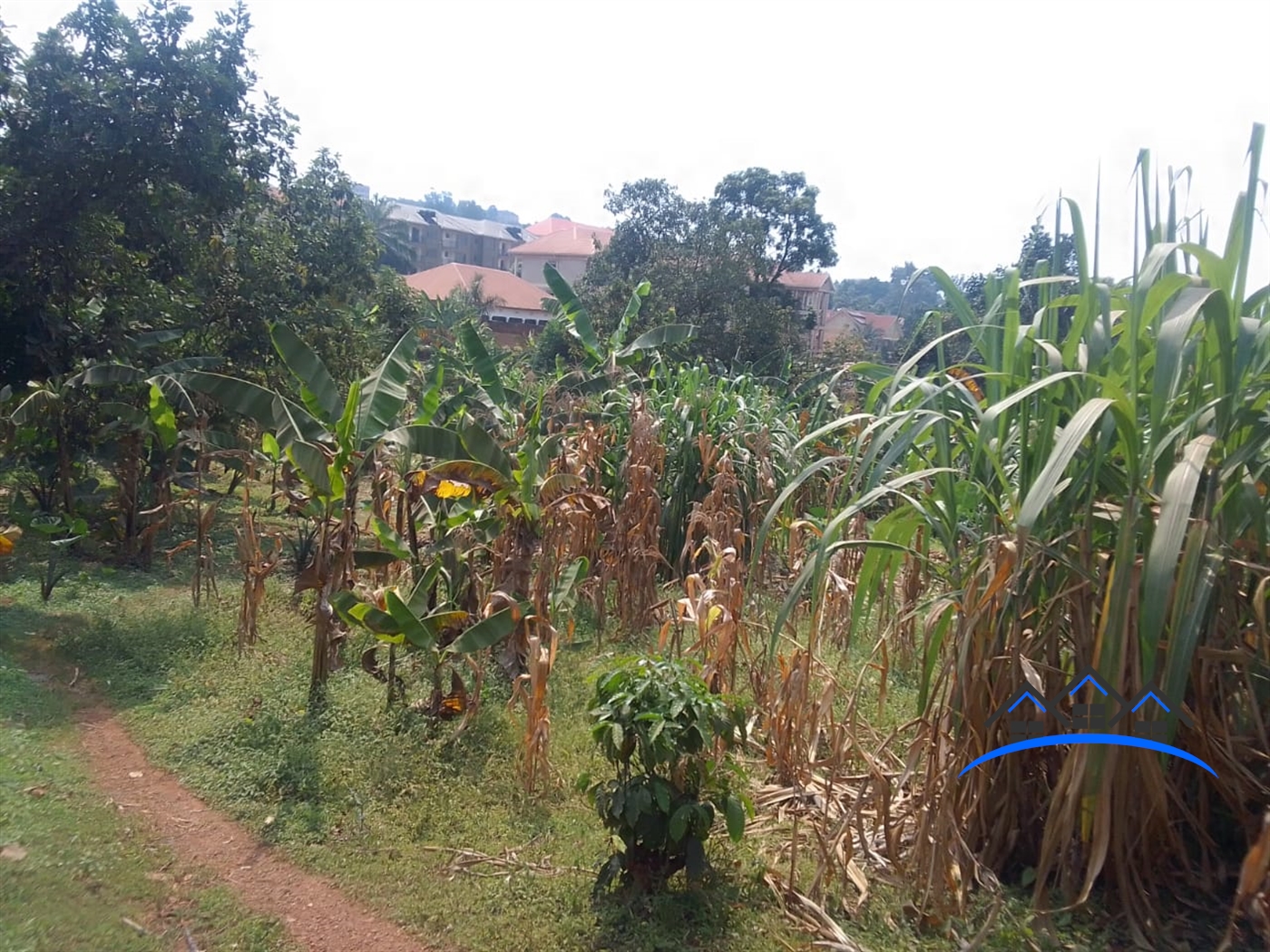 Residential Land for sale in Lungujja Kampala