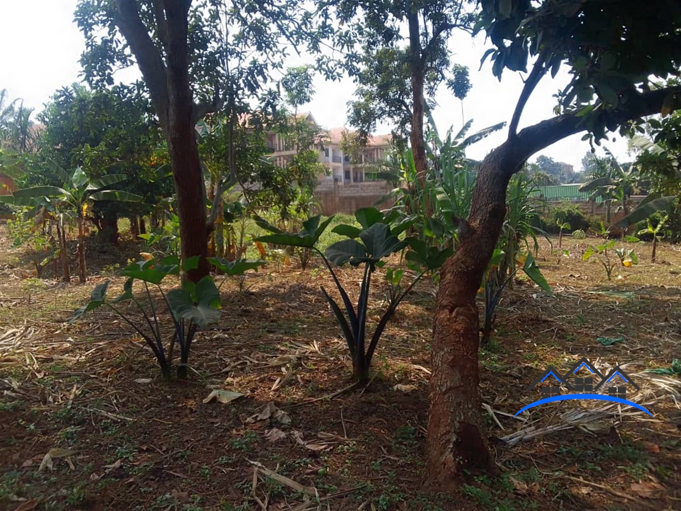 Residential Land for sale in Lungujja Kampala