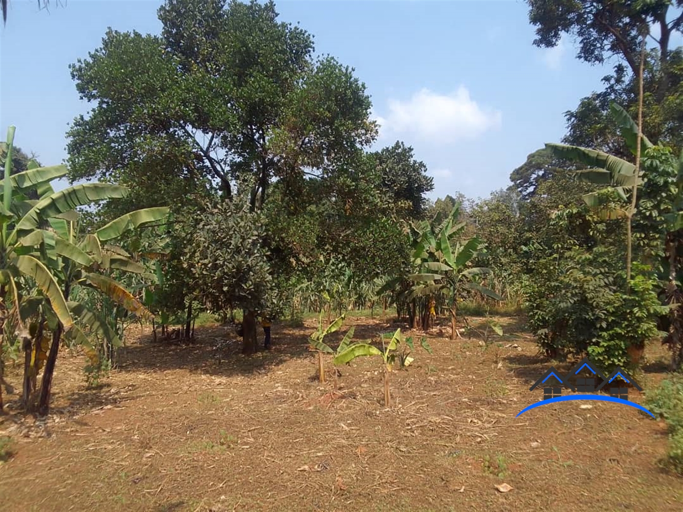 Residential Land for sale in Lungujja Kampala