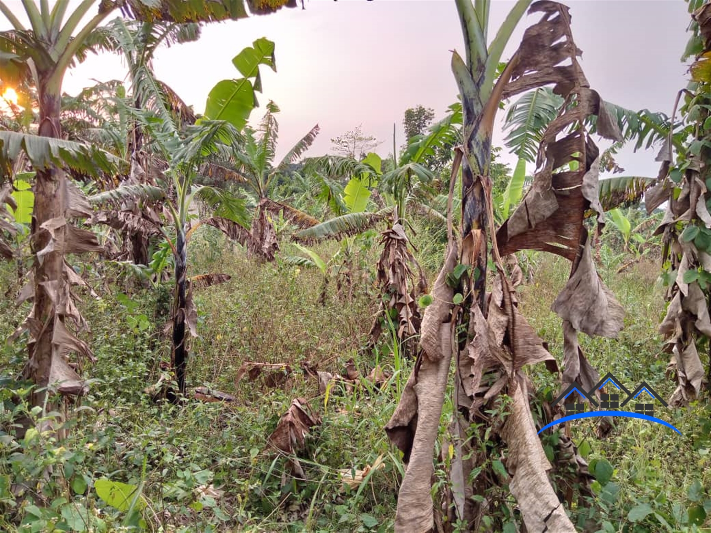 Residential Land for sale in Bombo Kampala