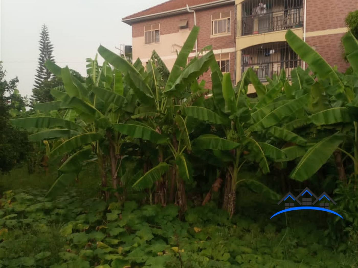 Residential Land for sale in Munyonyo Kampala