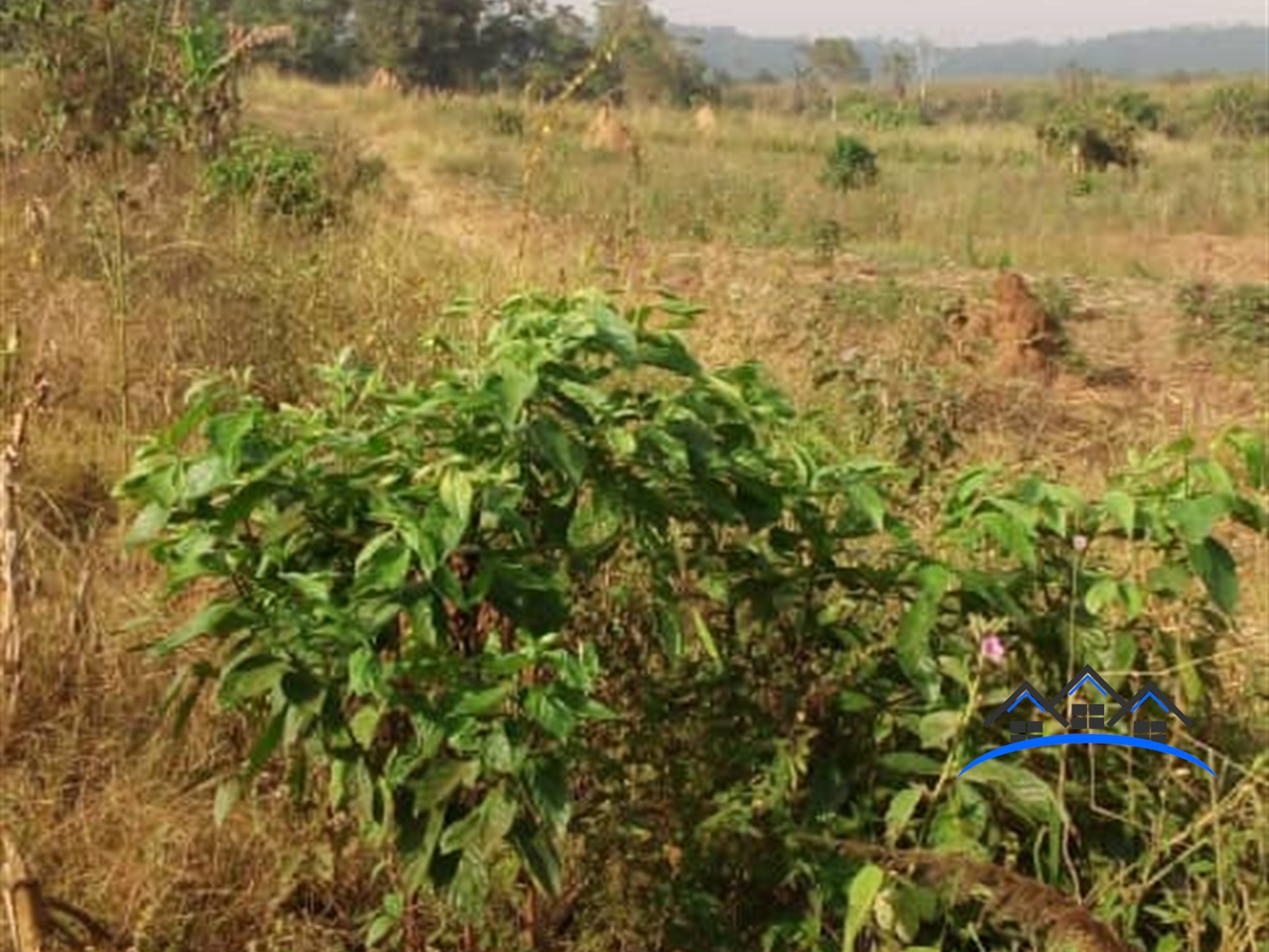 Residential Land for sale in Kawuku Wakiso