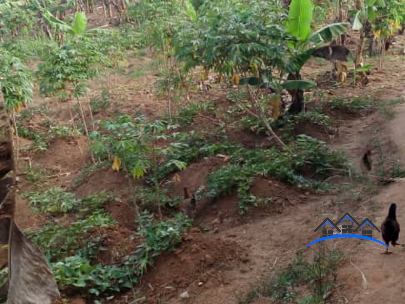 Residential Land for sale in Kawuku Wakiso