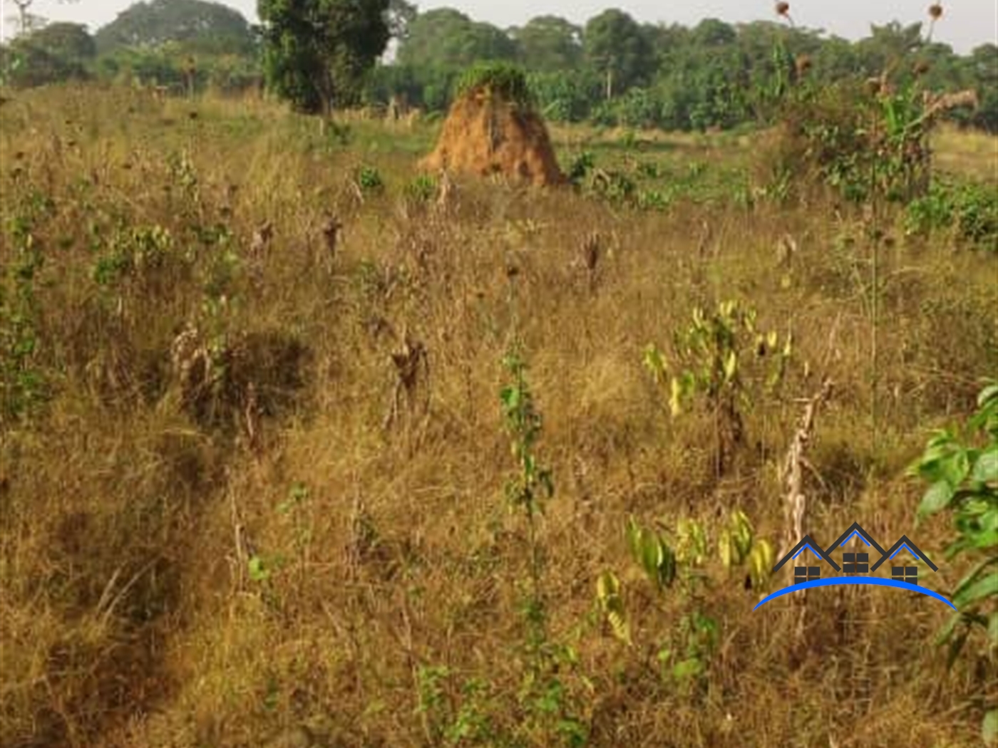 Residential Land for sale in Kawuku Wakiso