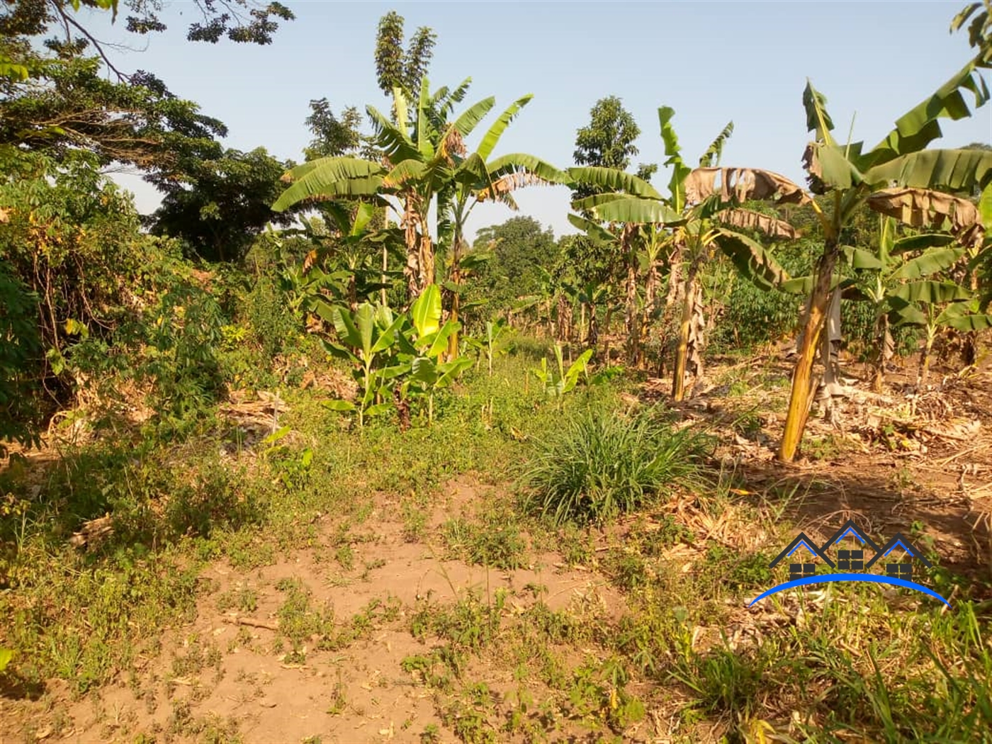 Residential Land for sale in Kabembe Mukono