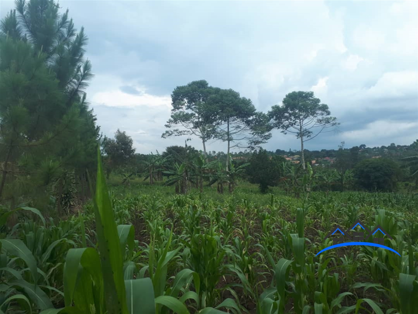 Agricultural Land for sale in Matugga Wakiso