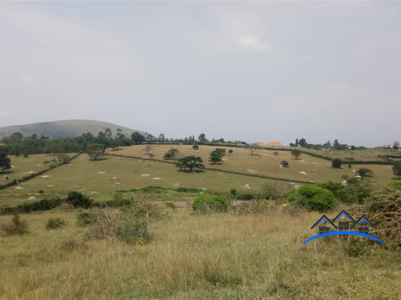 Farm for sale in Rubuya Mbarara