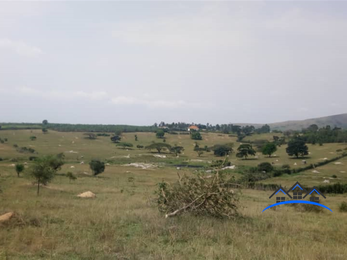 Farm for sale in Rubuya Mbarara