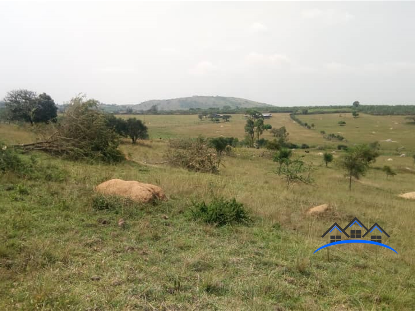 Farm for sale in Rubuya Mbarara