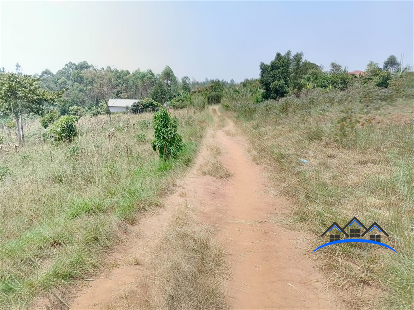 Residential Land for sale in Bukeelele Mukono