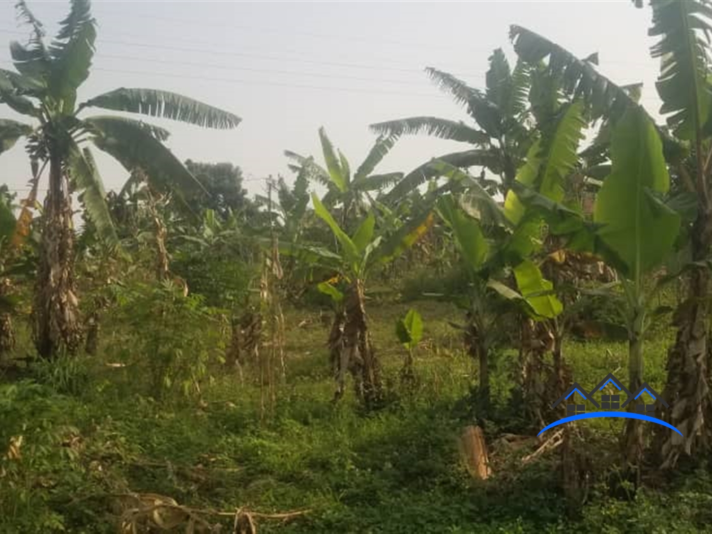 Residential Land for sale in Seeta Mukono