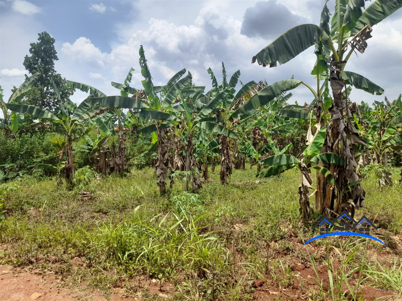 Agricultural Land for sale in Busiika Luweero