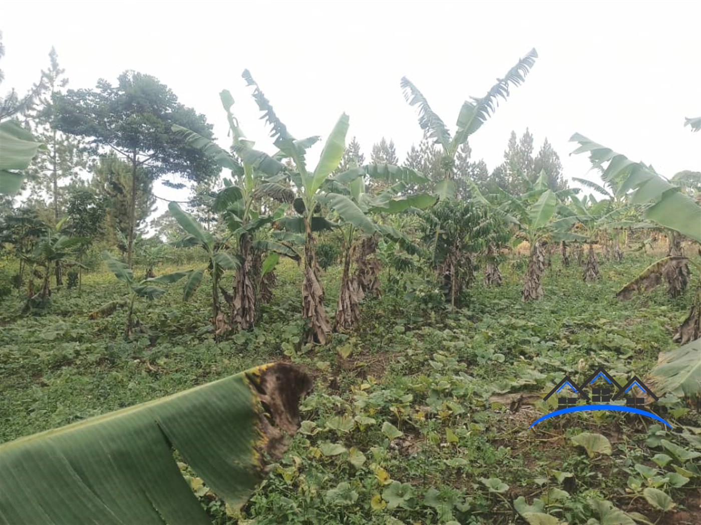 Residential Land for sale in Kiwebwa Wakiso