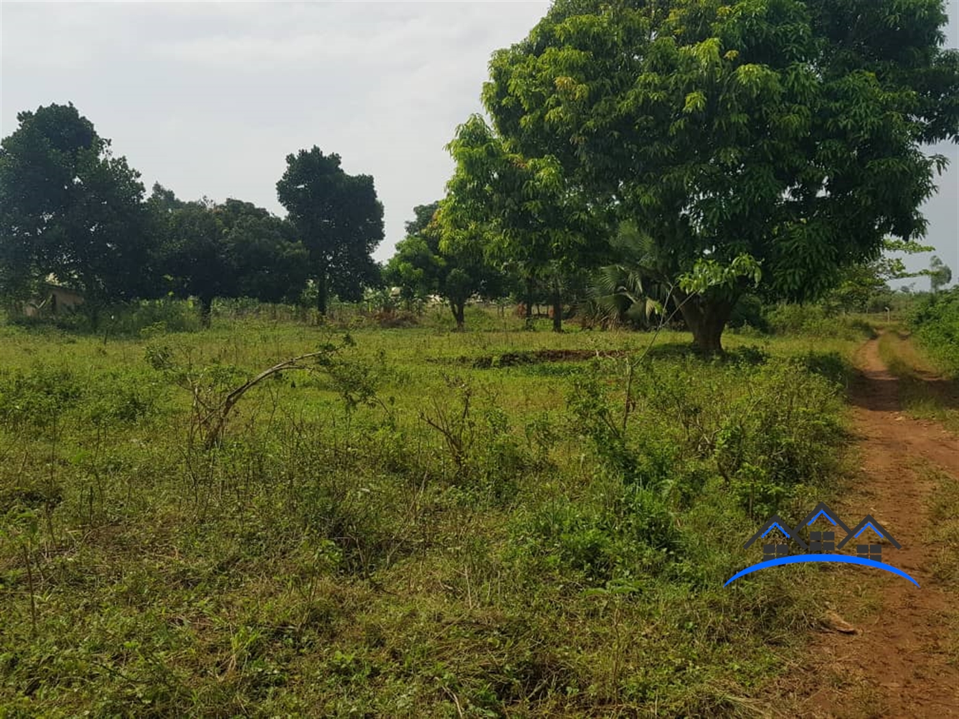 Residential Land for sale in Kawuku Wakiso