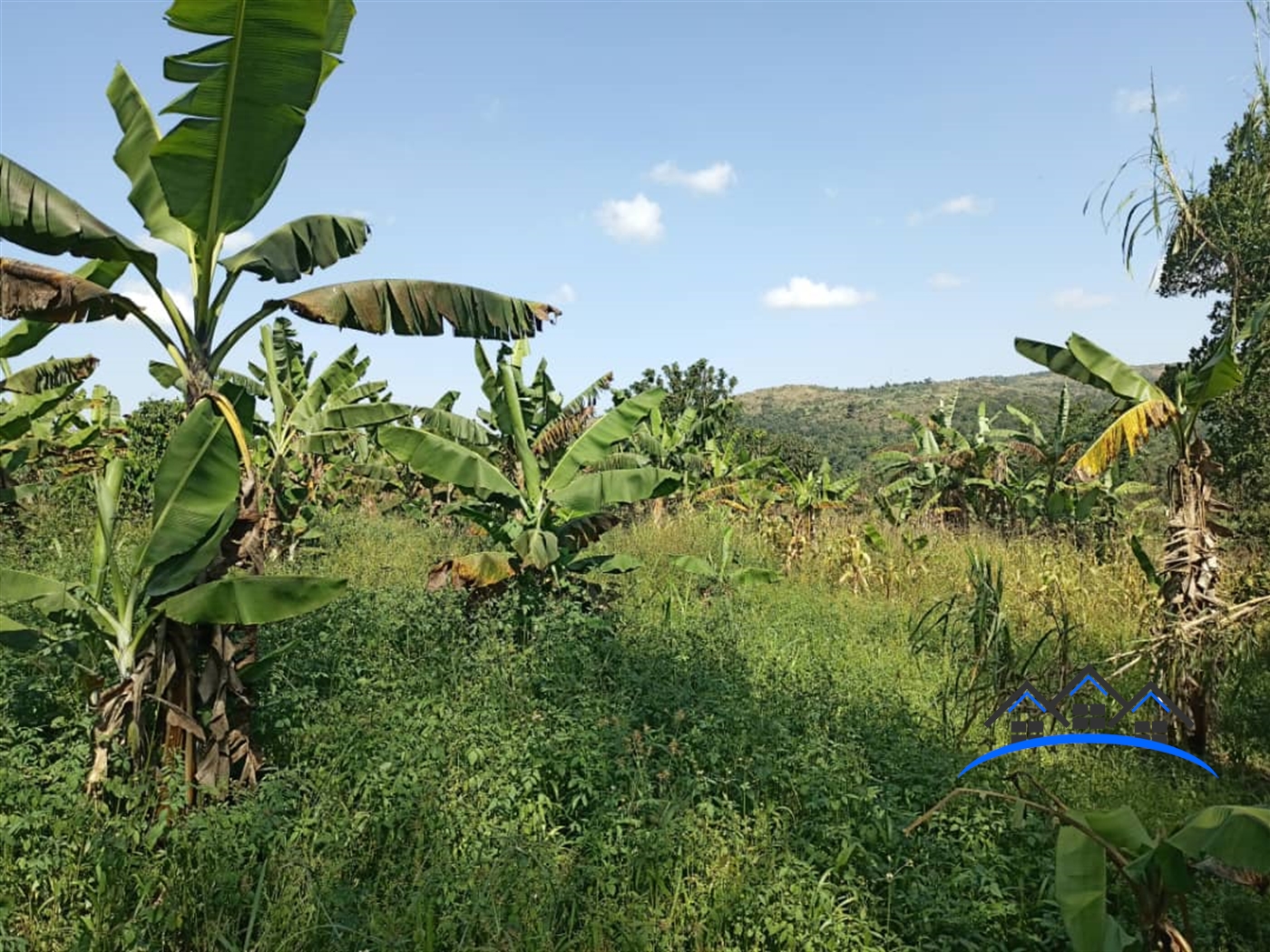 Residential Land for sale in Ssemuto Wakiso