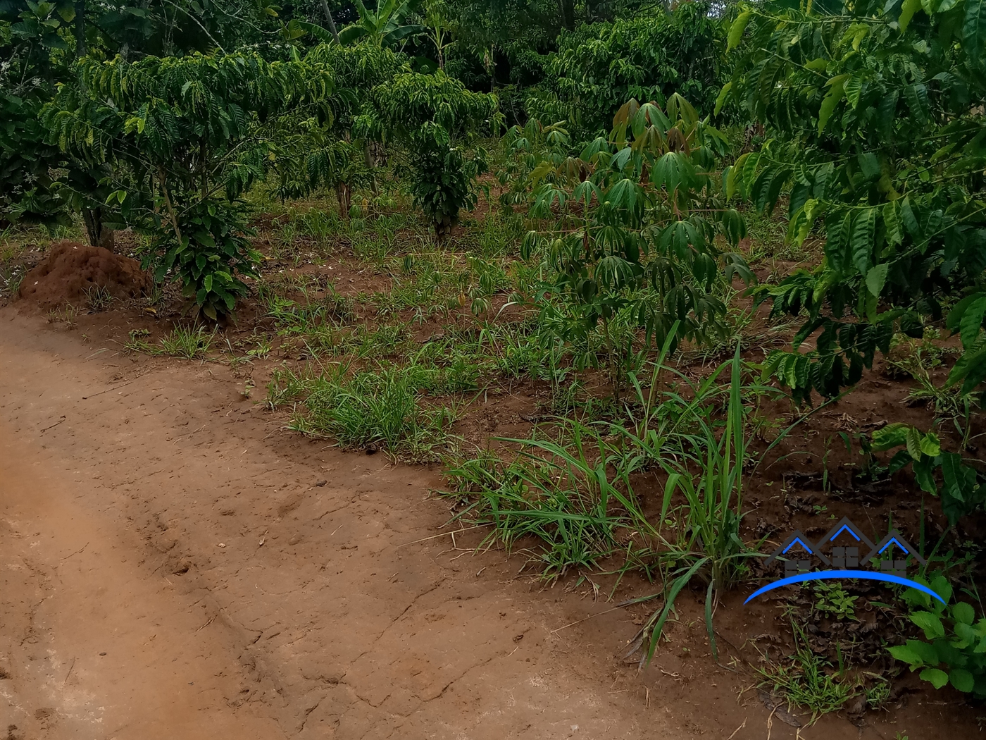 Residential Land for sale in Ziloobwe Luweero