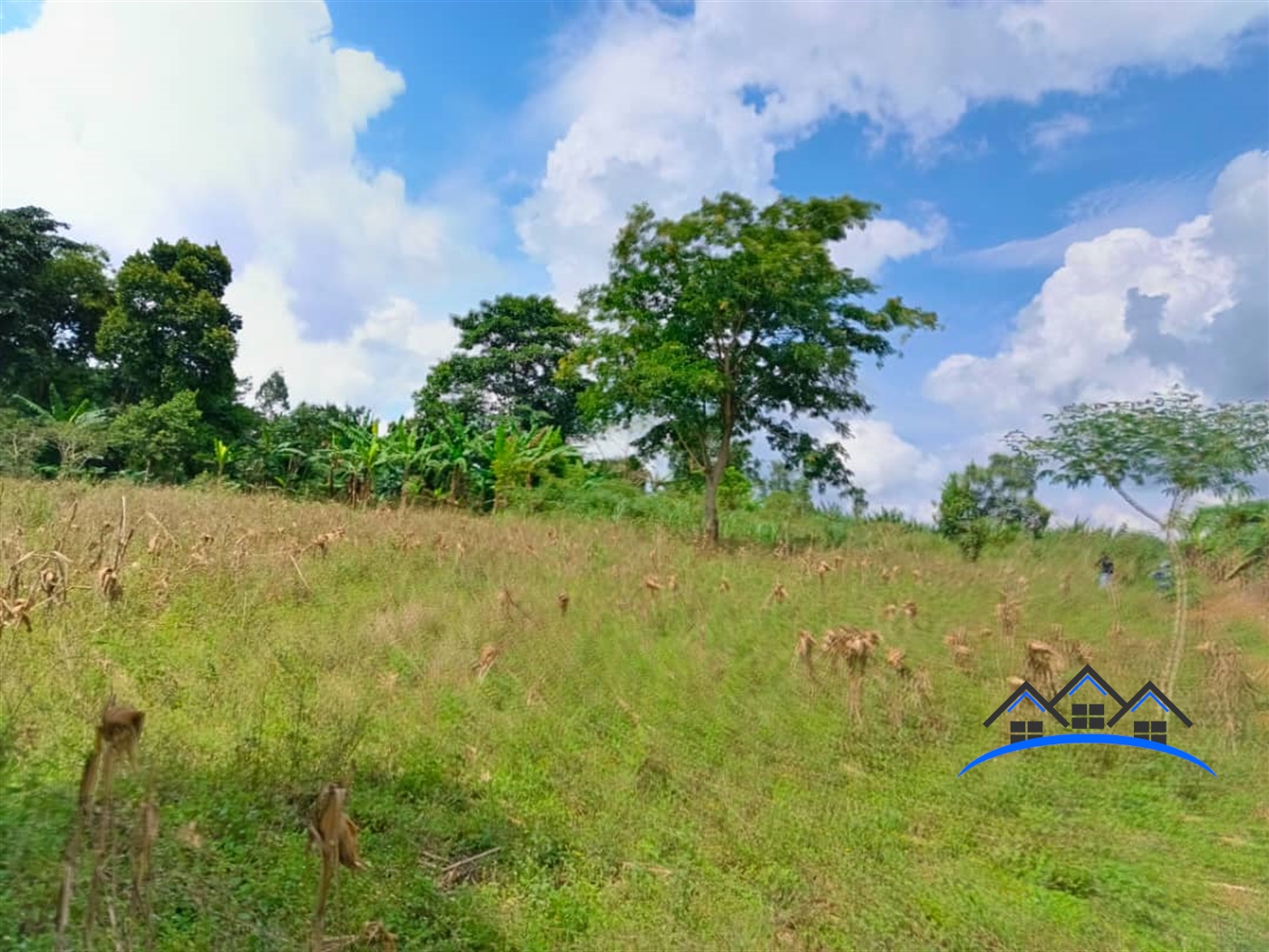 Residential Land for sale in Mpoma Mukono