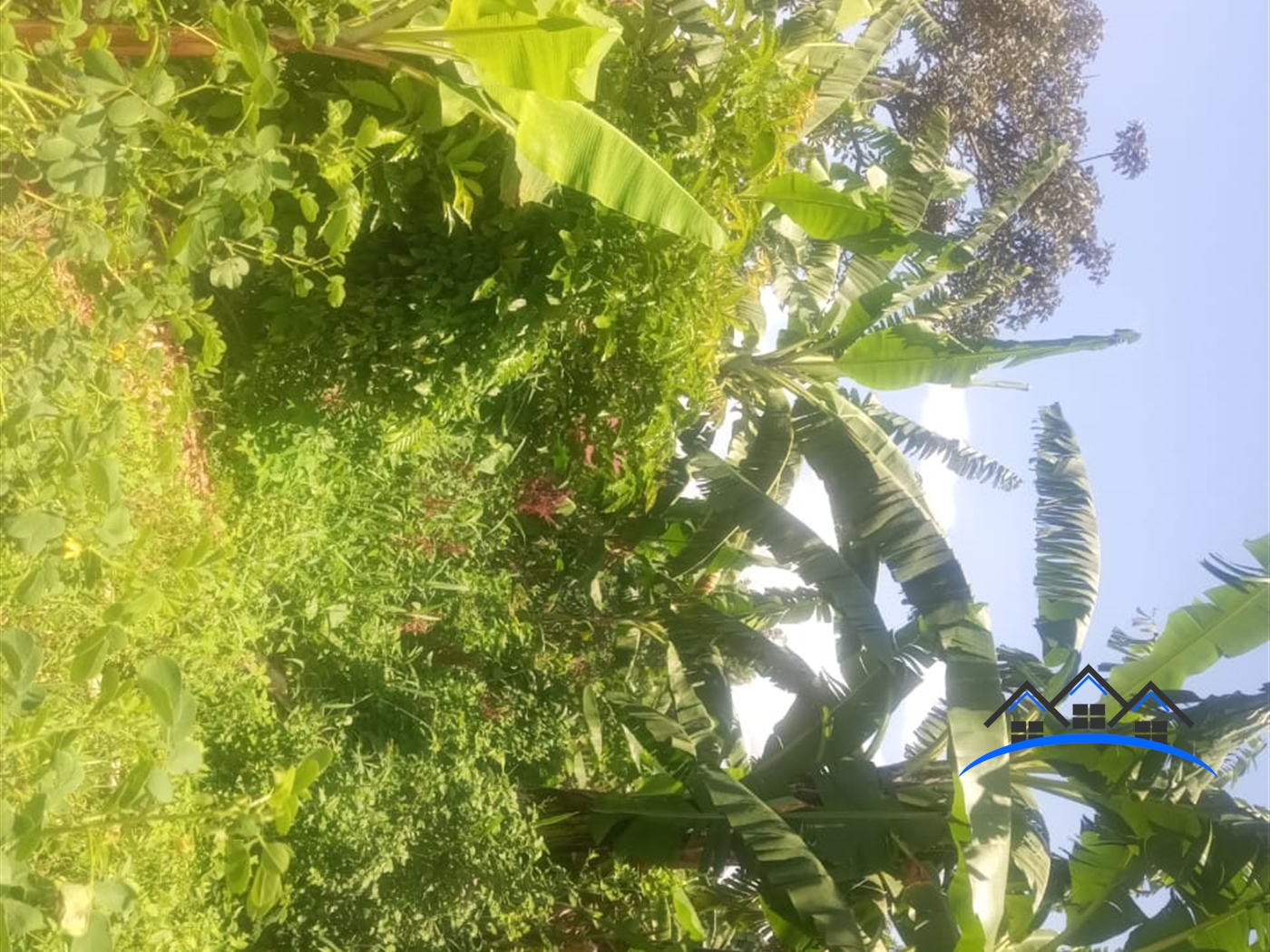 Residential Land for sale in Kigo Wakiso