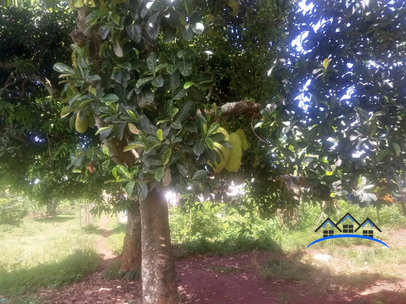 Residential Land for sale in Kigo Wakiso