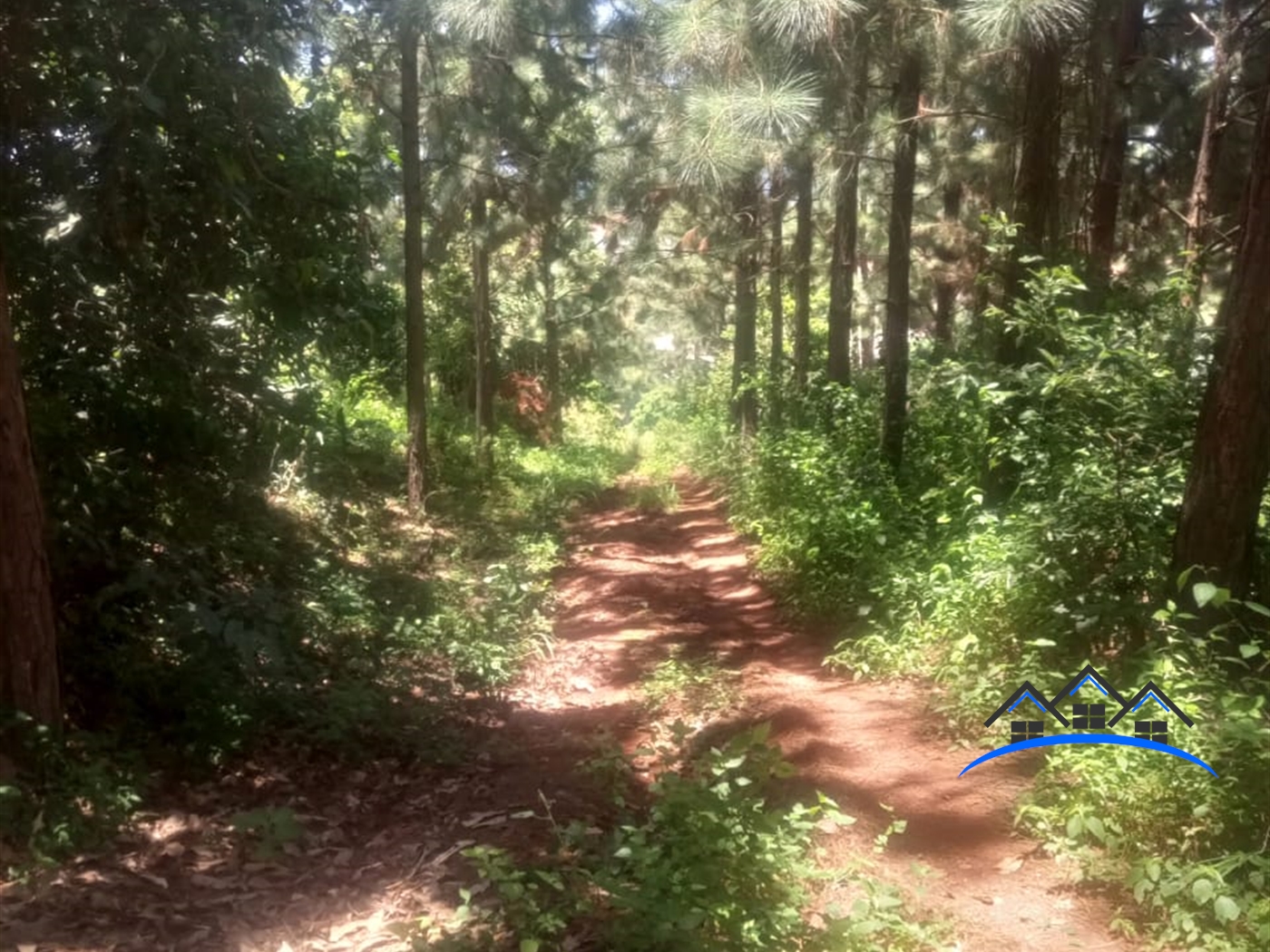 Residential Land for sale in Kigo Wakiso