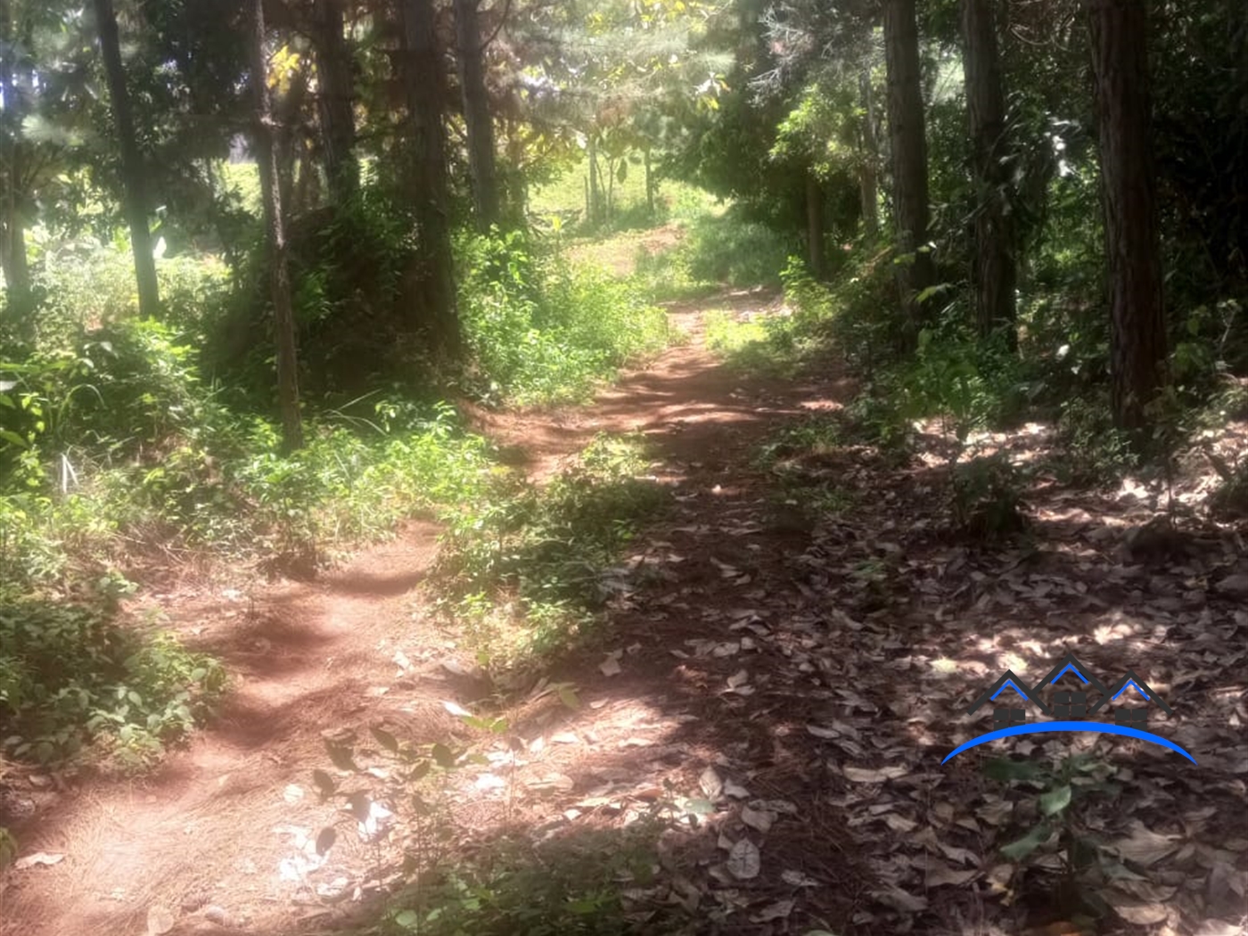 Residential Land for sale in Kigo Wakiso