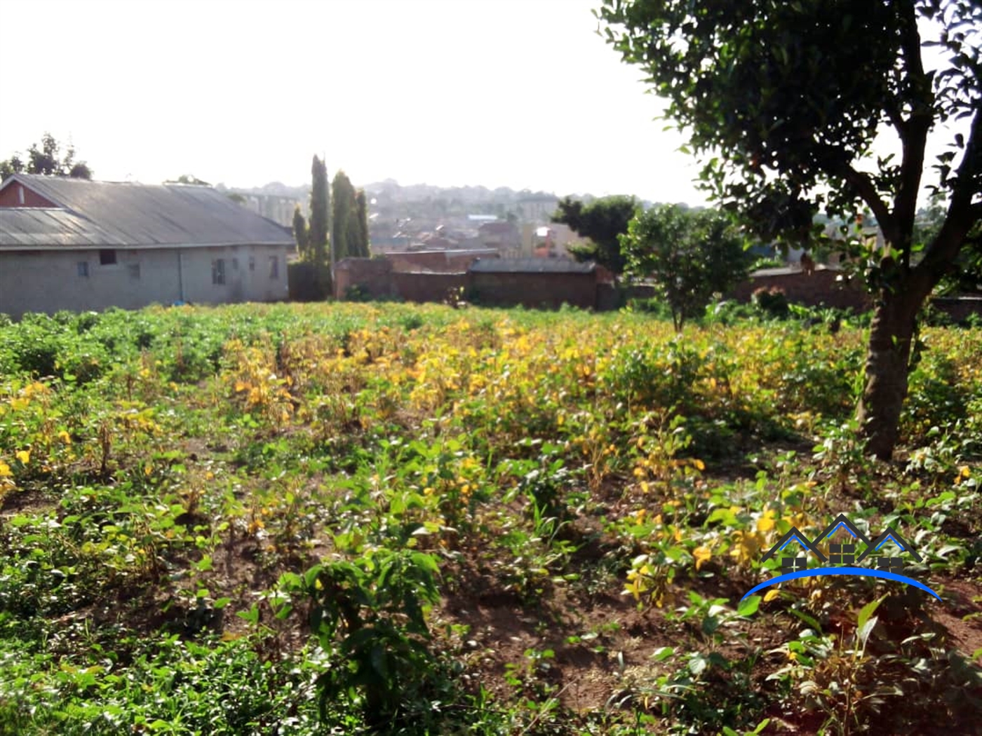 Residential Land for sale in Bukoto Kampala