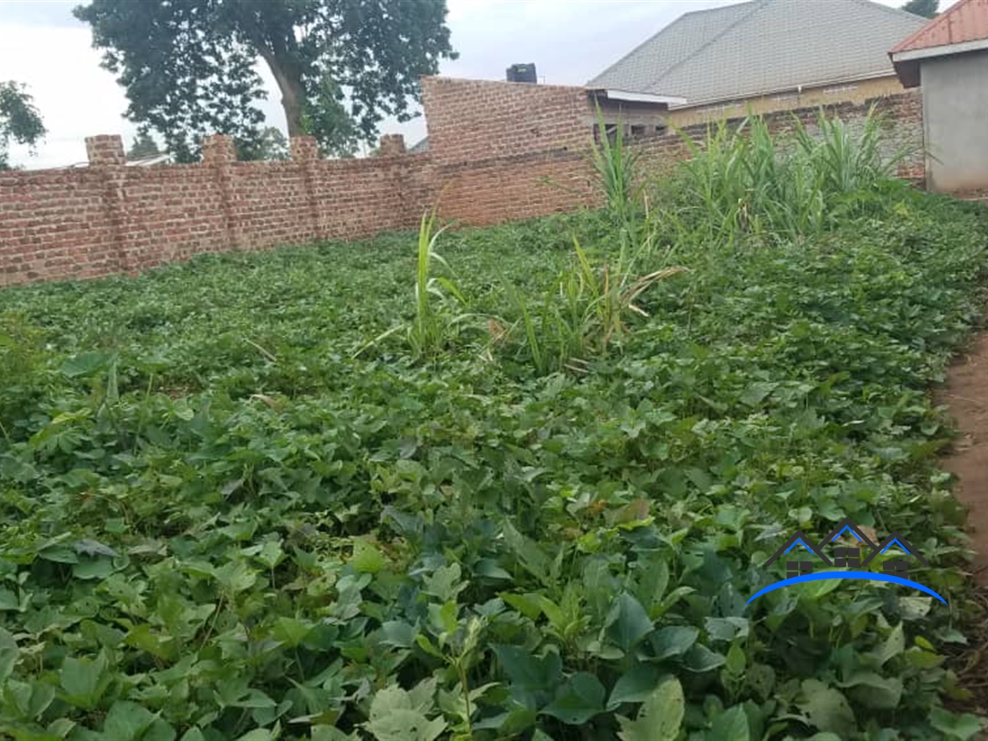 Residential Land for sale in Masooli Wakiso