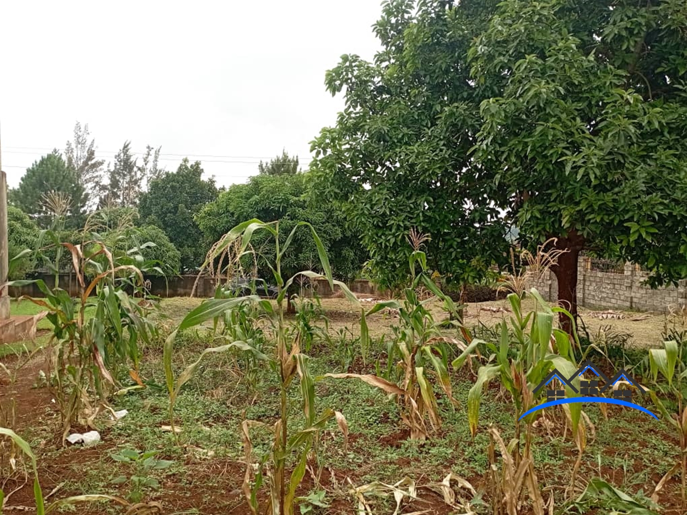 Commercial Land for sale in Bwebajja Wakiso