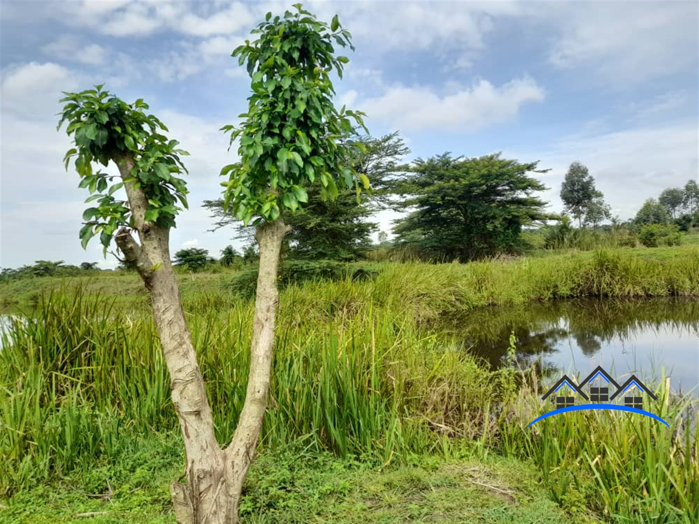 Farm for sale in Kikube Luweero