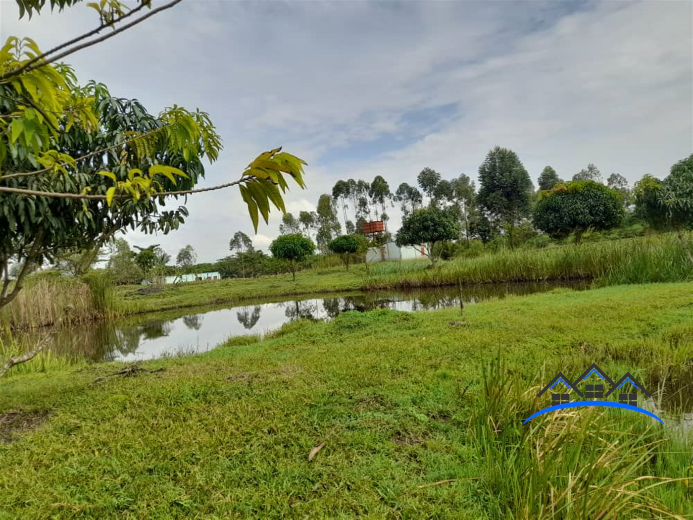 Farm for sale in Kikube Luweero