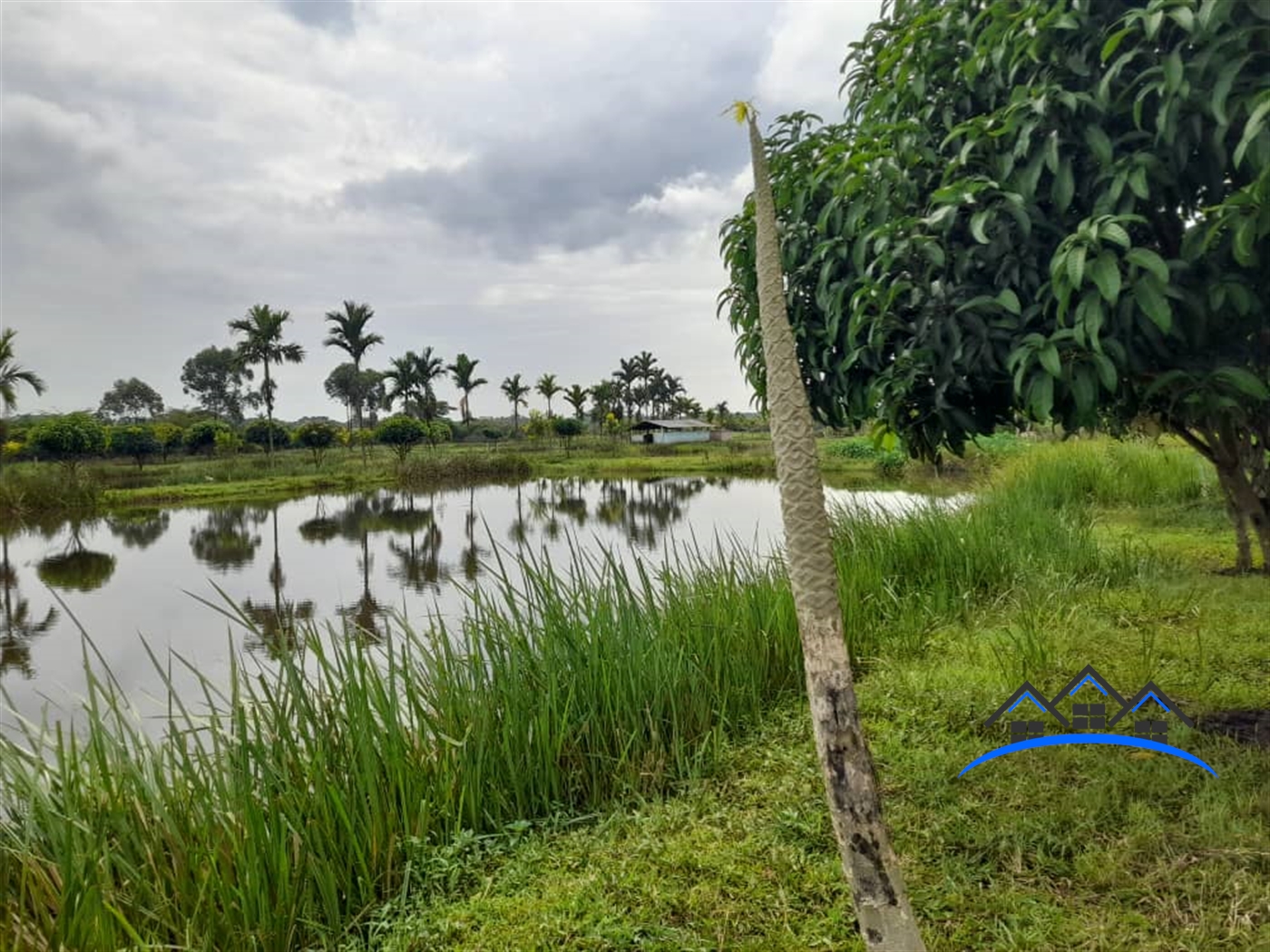 Farm for sale in Kikube Luweero