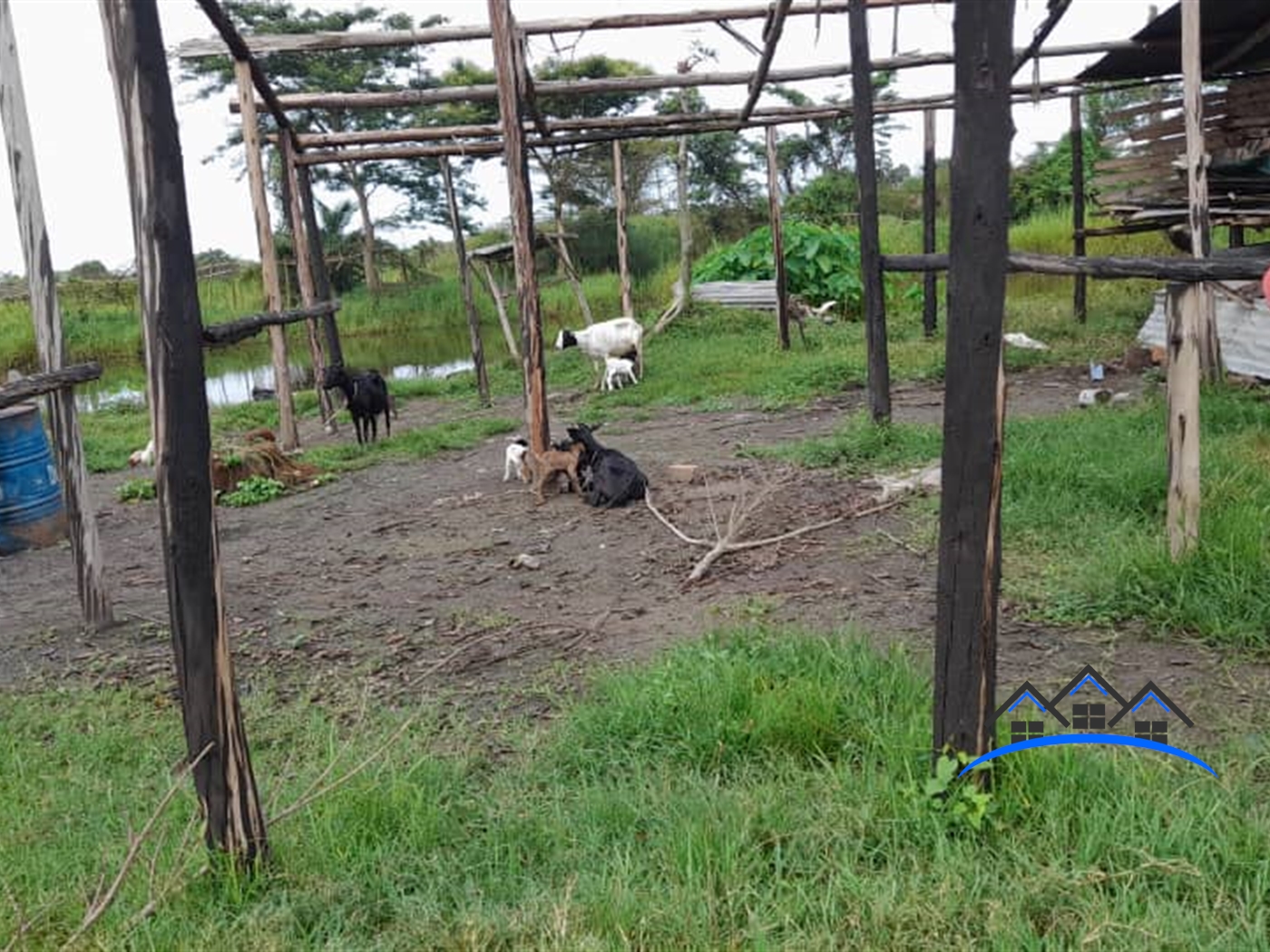 Farm for sale in Kikube Luweero