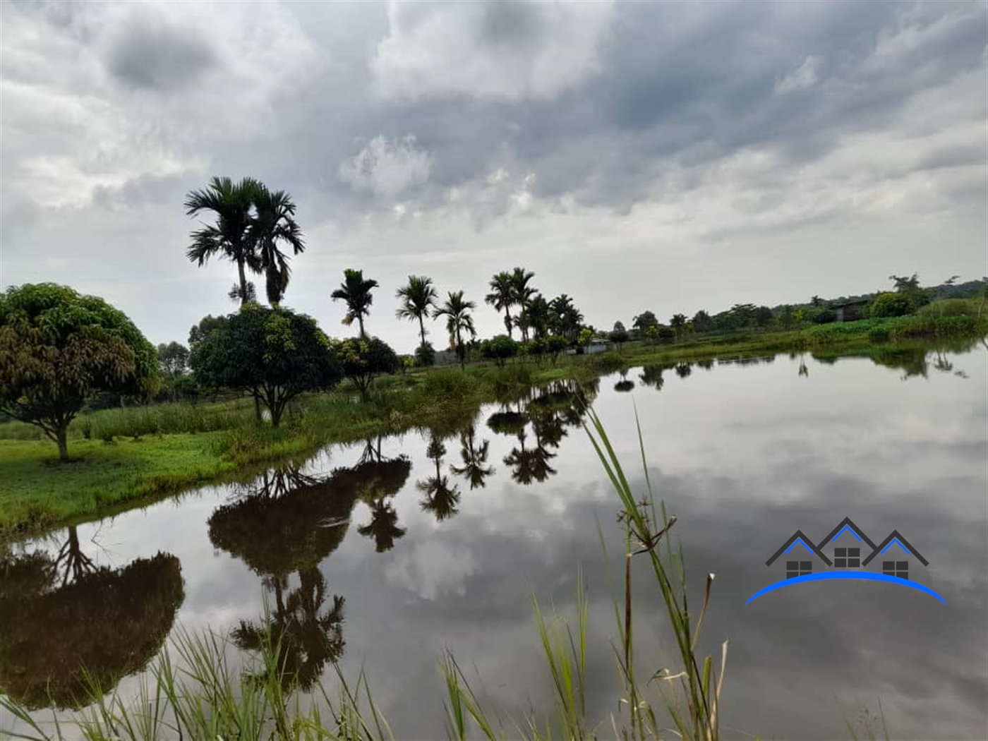 Farm for sale in Kikube Luweero