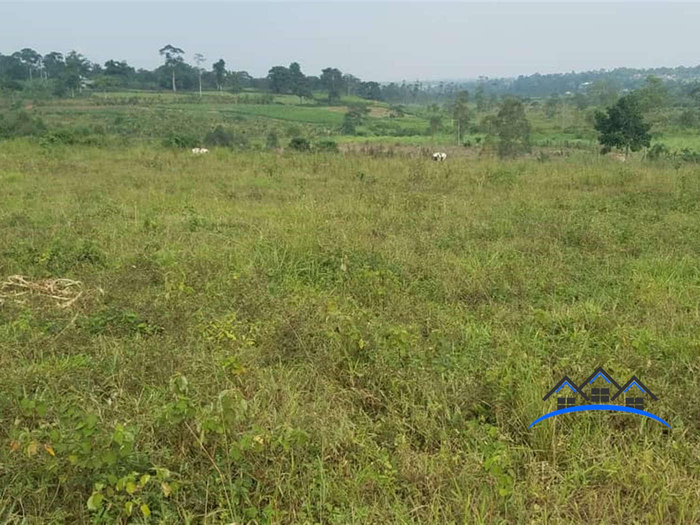 Commercial Land for sale in Nakassajja Wakiso