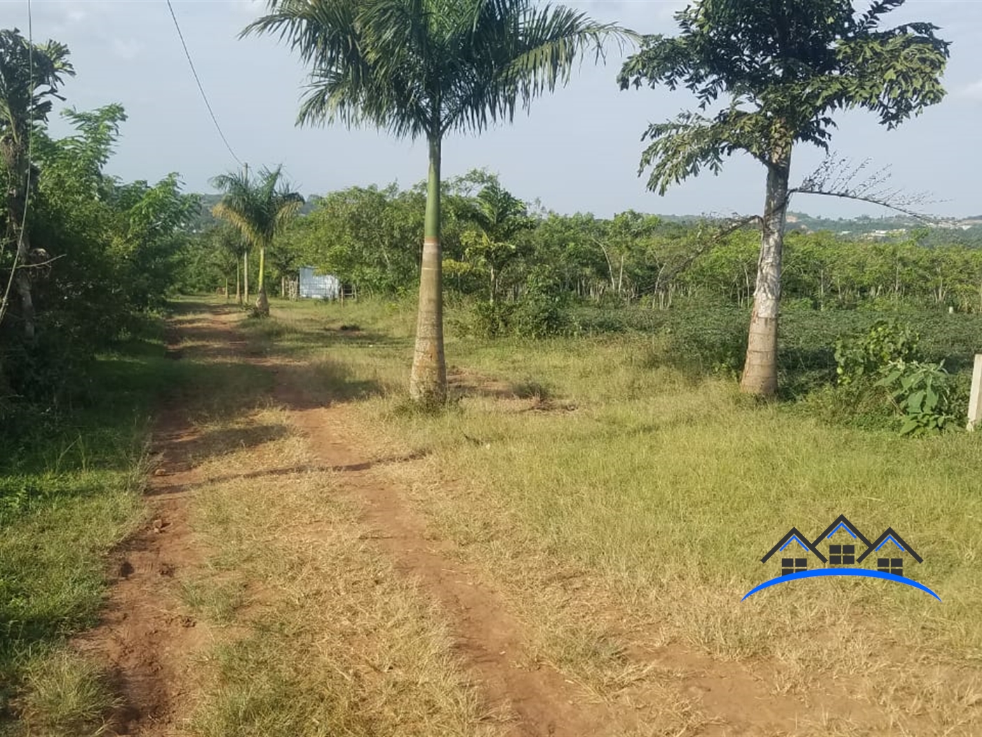 Residential Land for sale in Kijabijo Wakiso