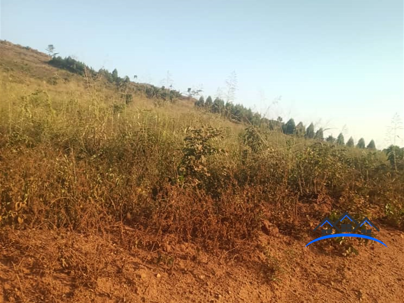 Agricultural Land for sale in Kiwenda Wakiso