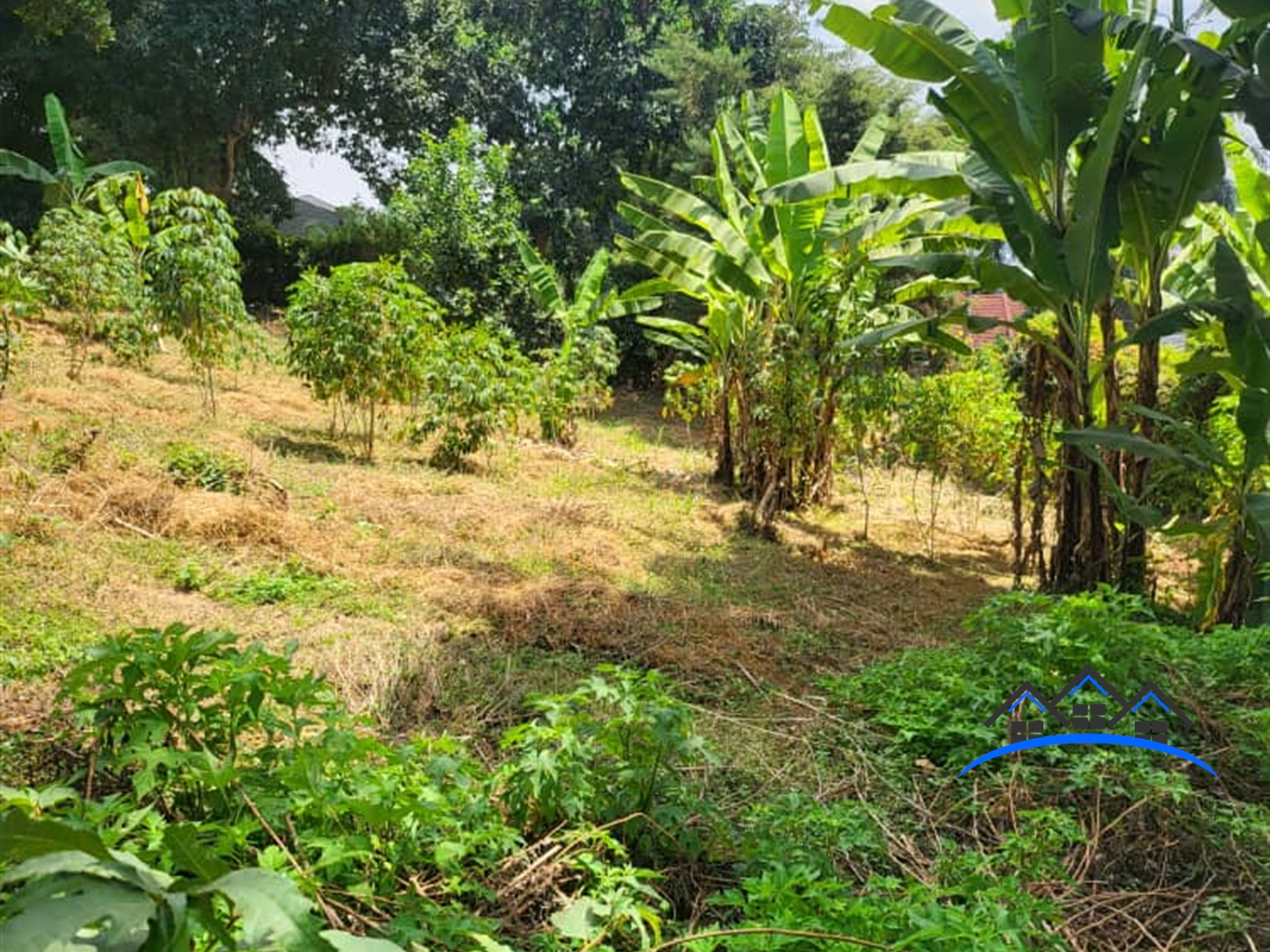 Residential Land for sale in Buziga Kampala