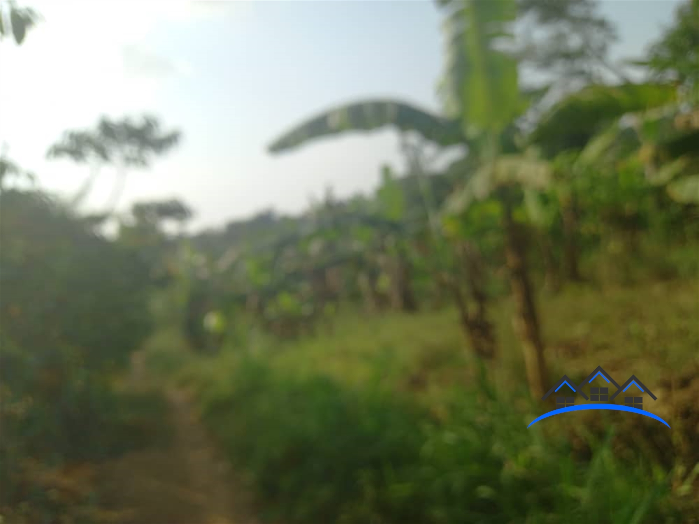 Agricultural Land for sale in Gombe Butambala