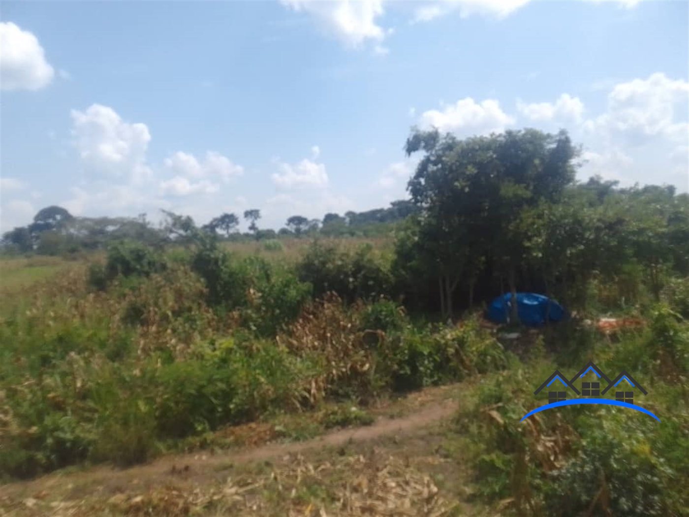 Farm for sale in Kasana Luweero