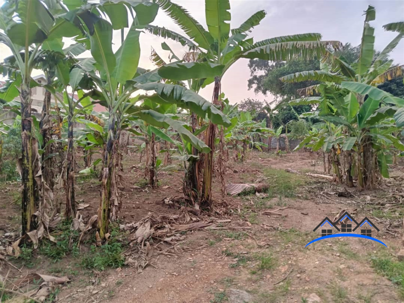 Residential Land for sale in Kyanja Wakiso