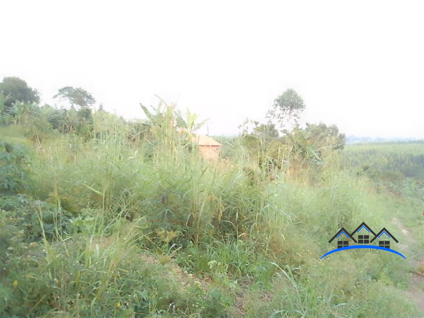 Residential Land for sale in Bujuuko Mpigi