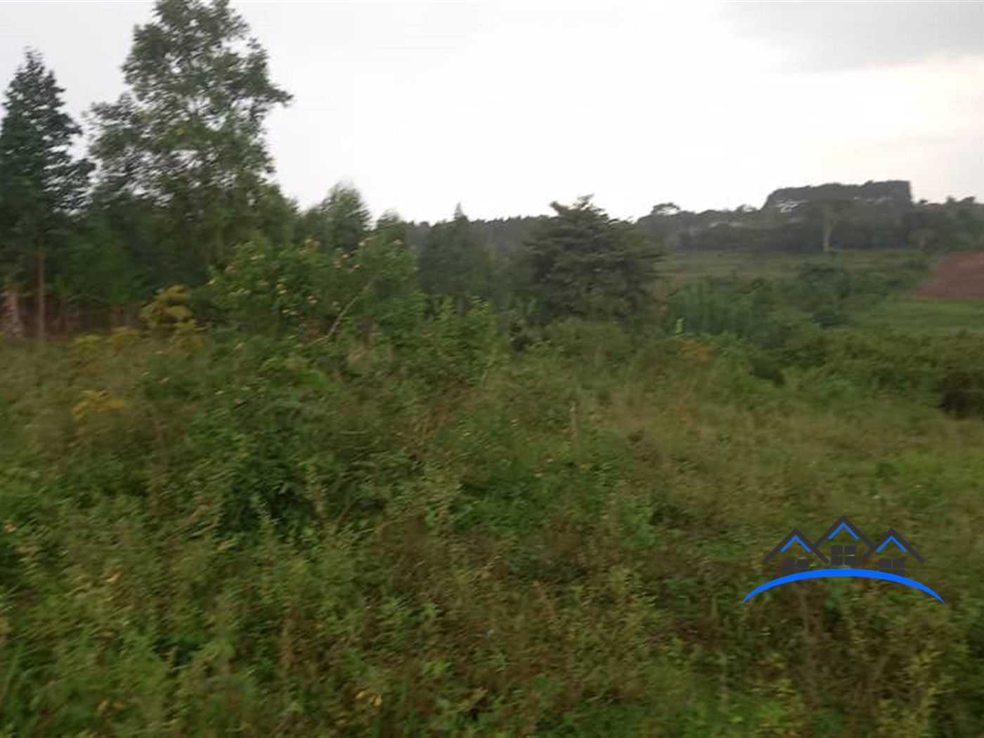 Residential Land for sale in Kiwenda Wakiso