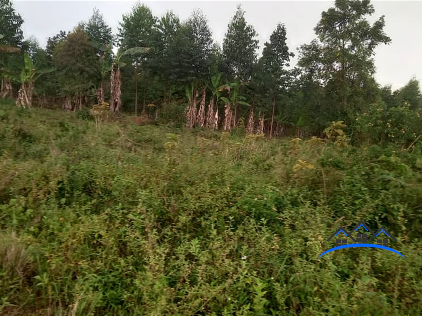 Residential Land for sale in Kiwenda Wakiso