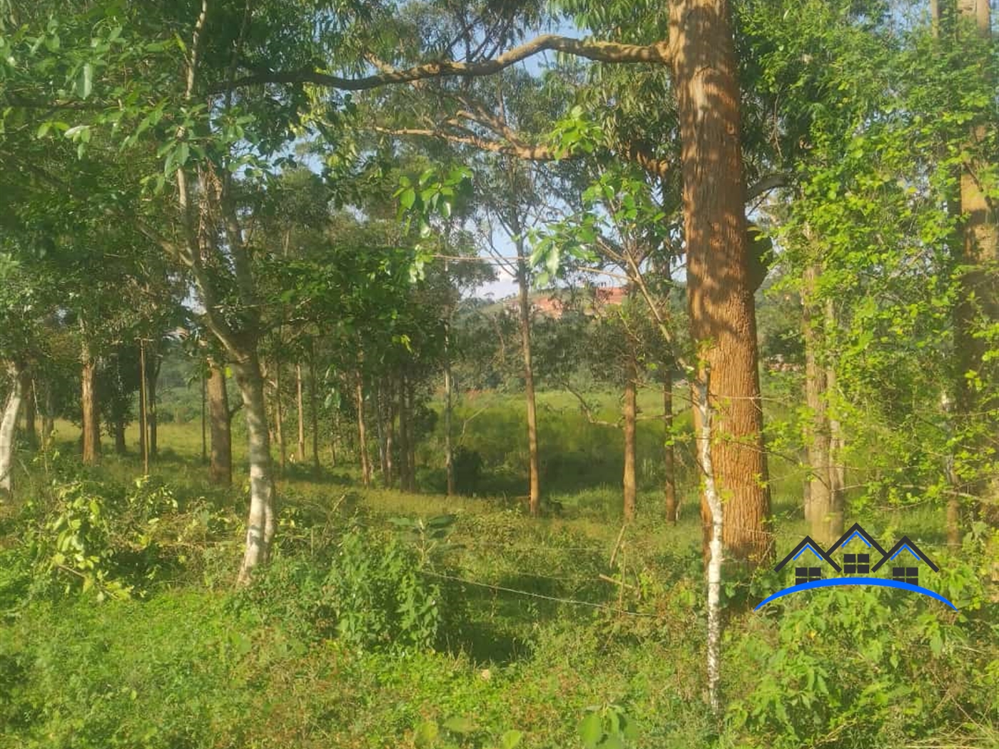 Agricultural Land for sale in Kona Wakiso