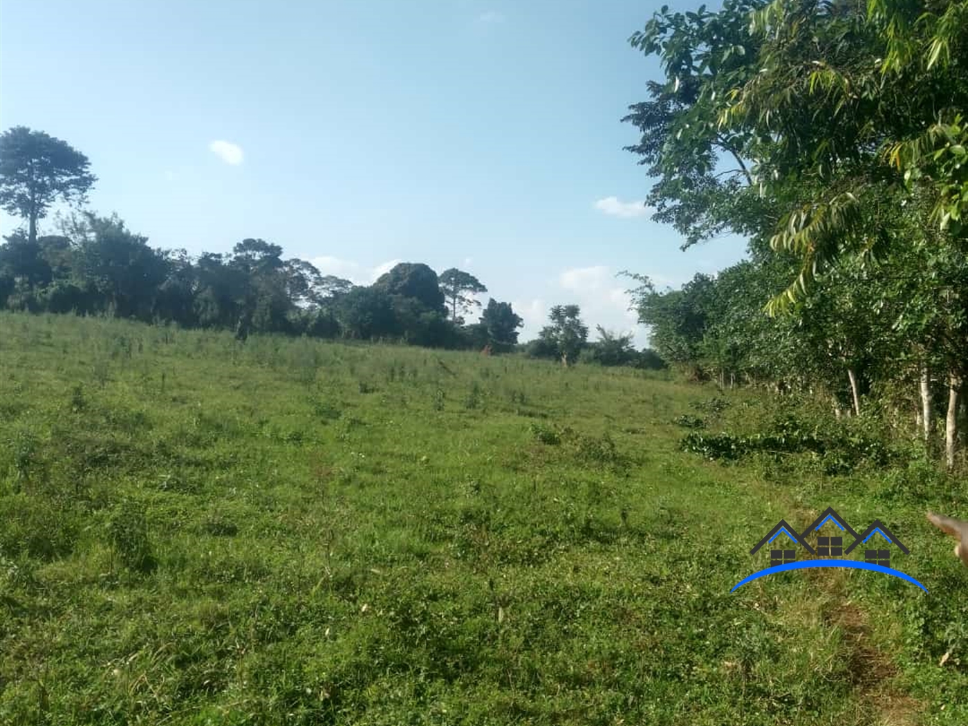 Agricultural Land for sale in Kona Wakiso