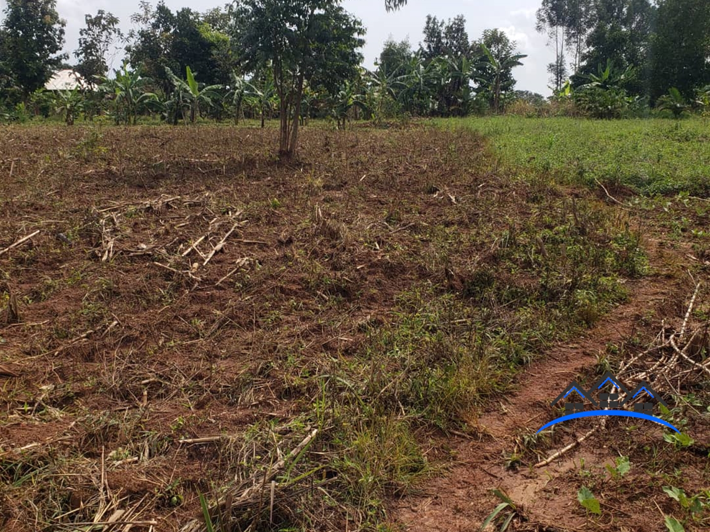 Residential Land for sale in Nsaggu Wakiso