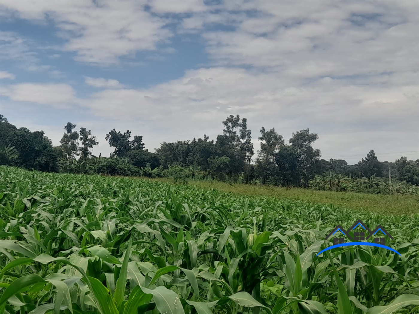 Residential Land for sale in Gayaza Wakiso